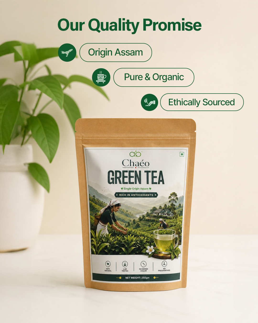 Single Estate Assam green tea