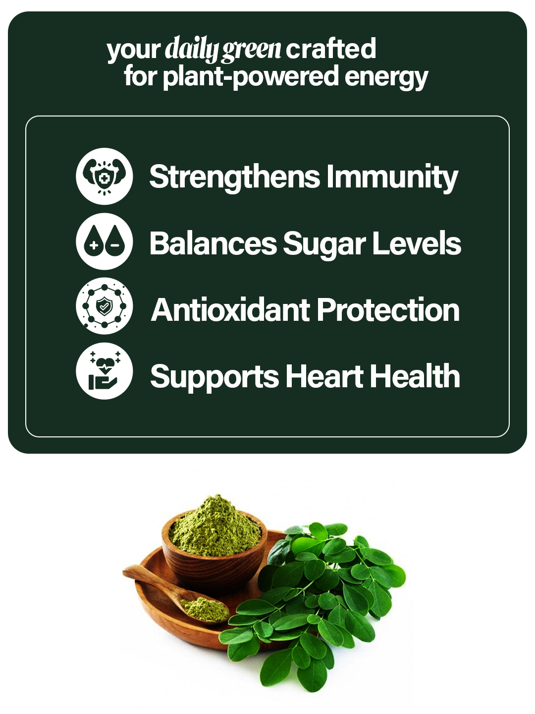 Organic Moringa Powder – Daily Health Boost