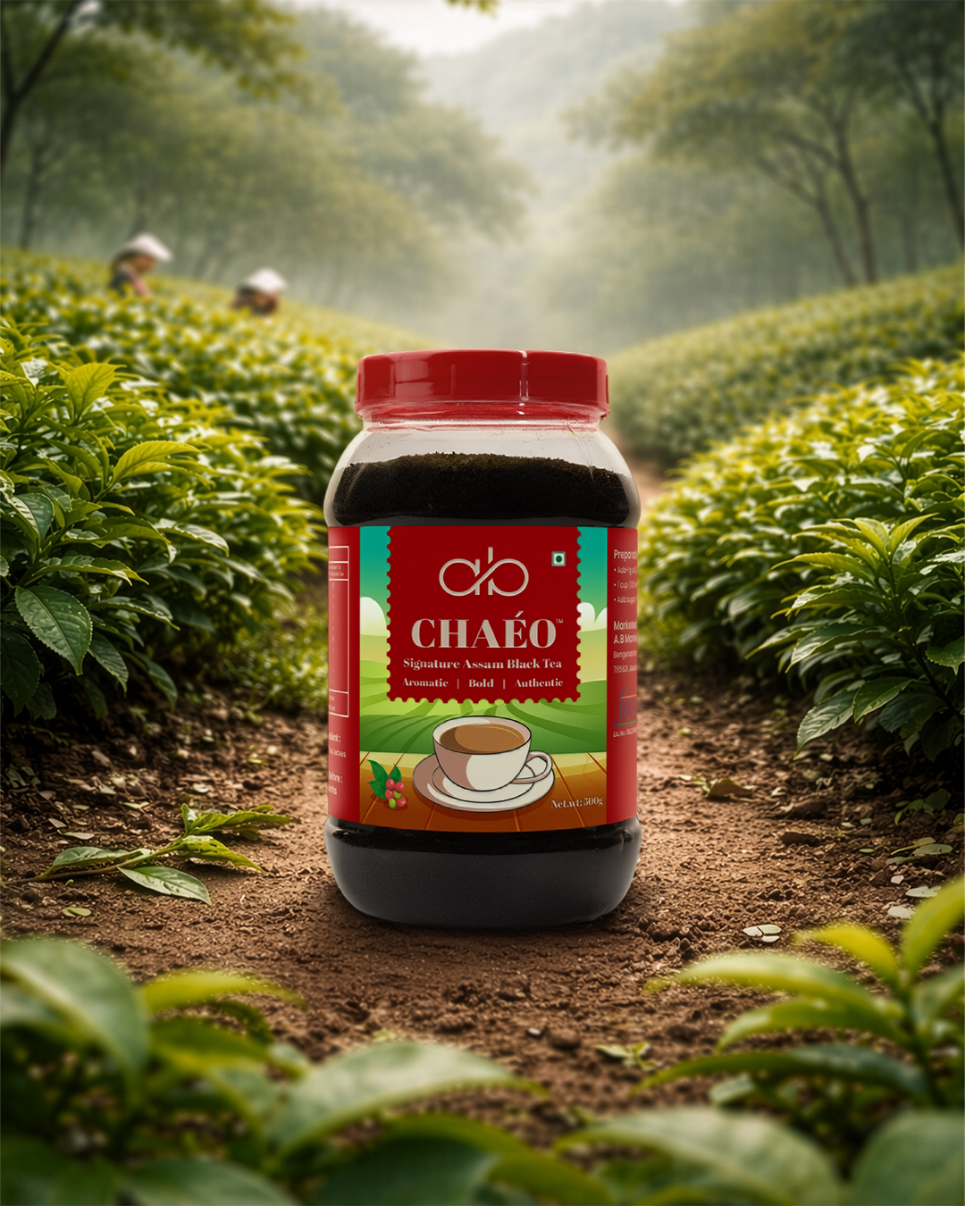 Chaéo Everyday Assam Tea – Family Pack