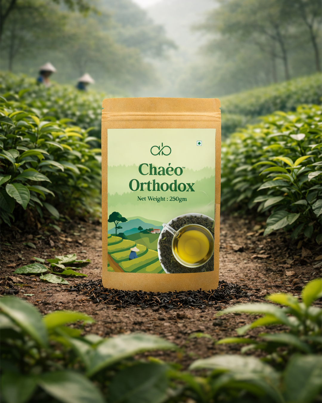 Orthodox Assam Tea – Handcrafted in Karbi Anglong