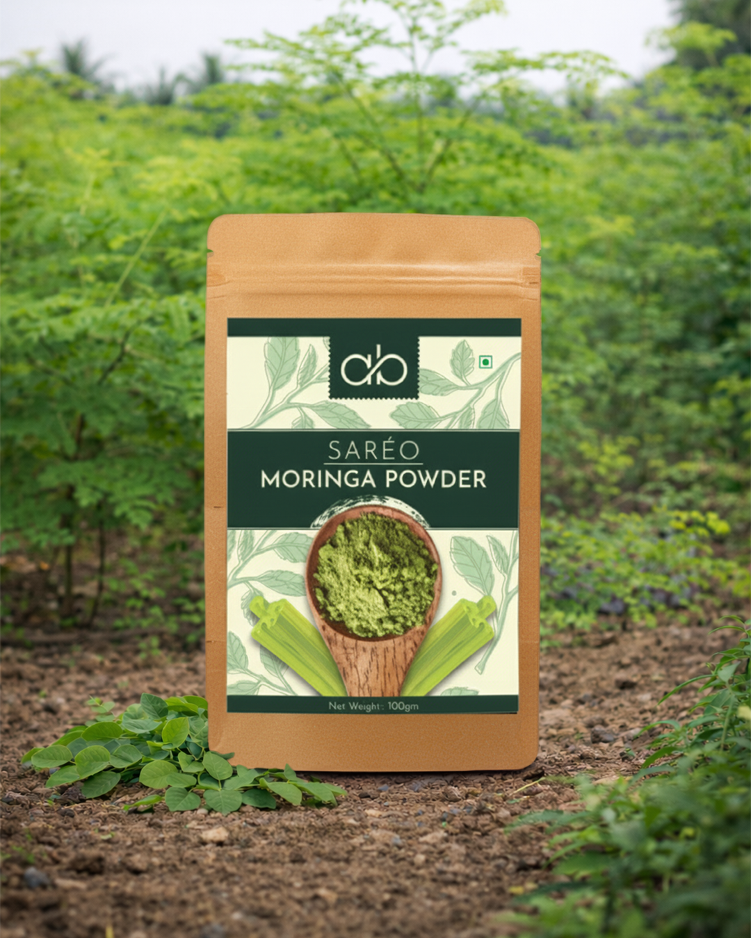Organic Moringa Powder – Daily Health Boost