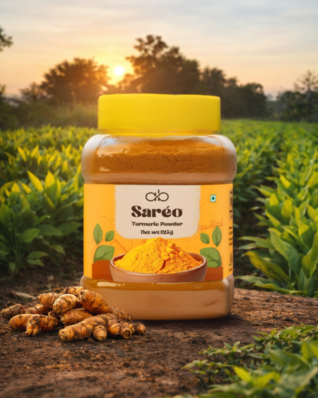 Saréo Turmeric Powder – 100% Natural Karbi Anglong Product