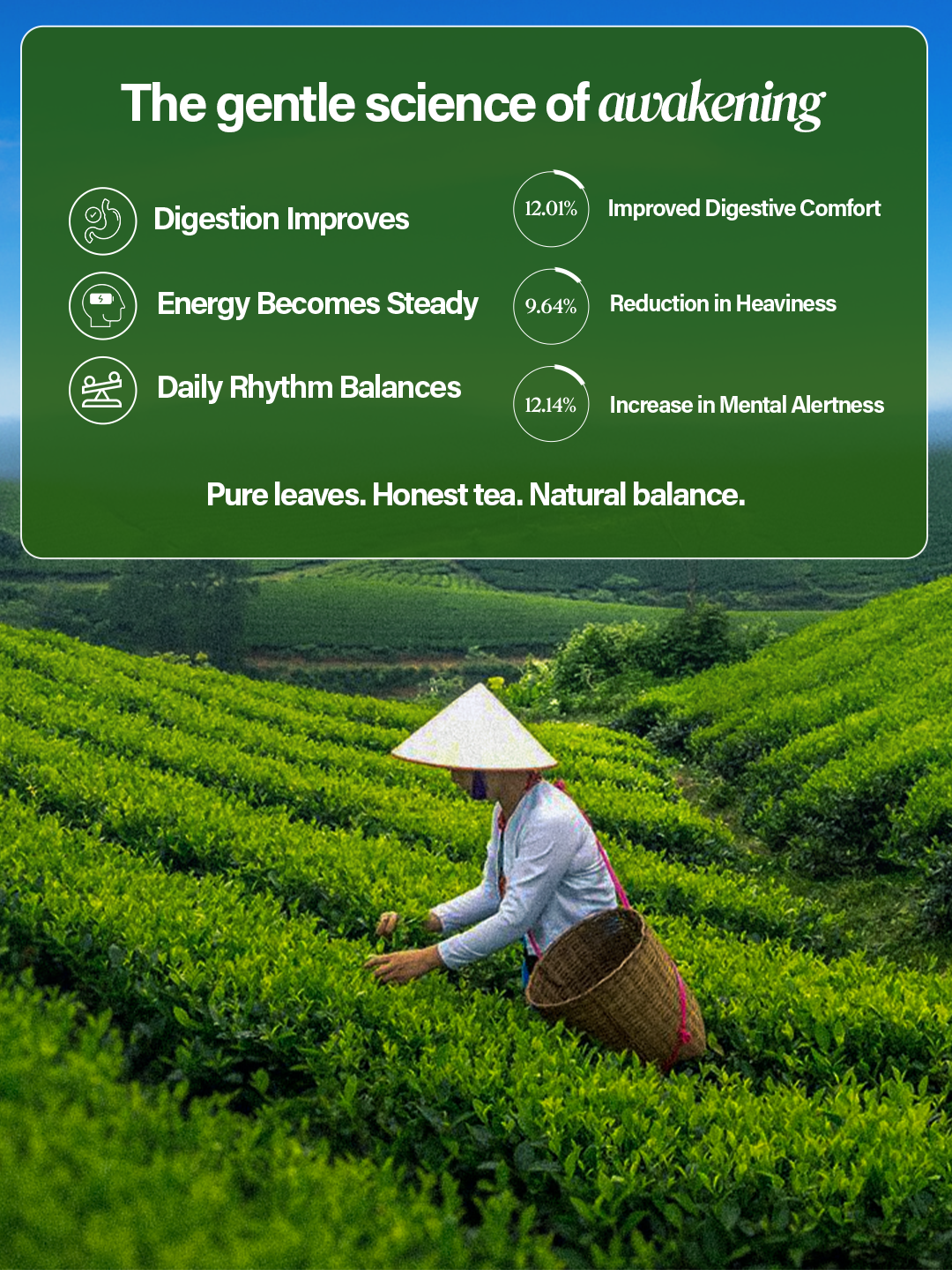 Chaéo Classic – Authentic Assam Garden Black Tea