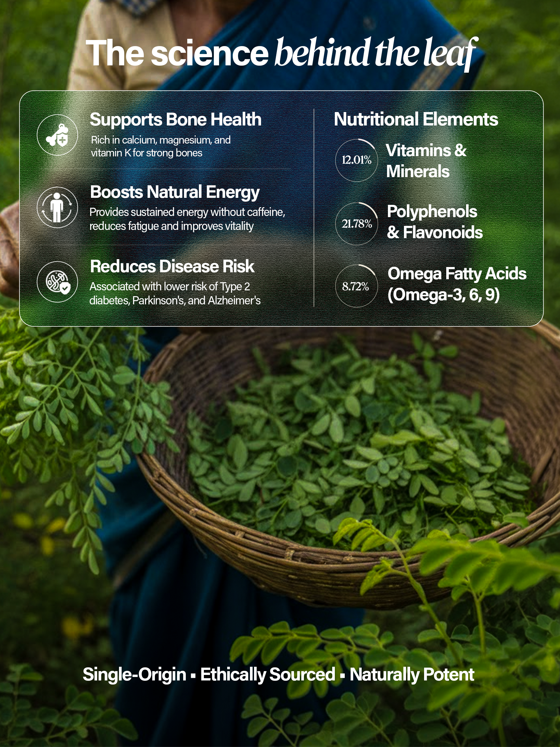 Organic Moringa Powder – Daily Health Boost