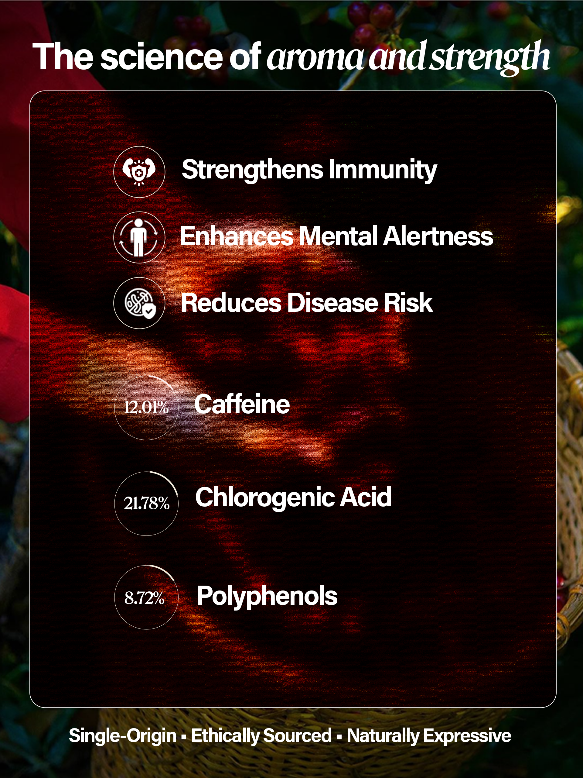 Kaféo Classic – 100% Pure Arabica Coffee