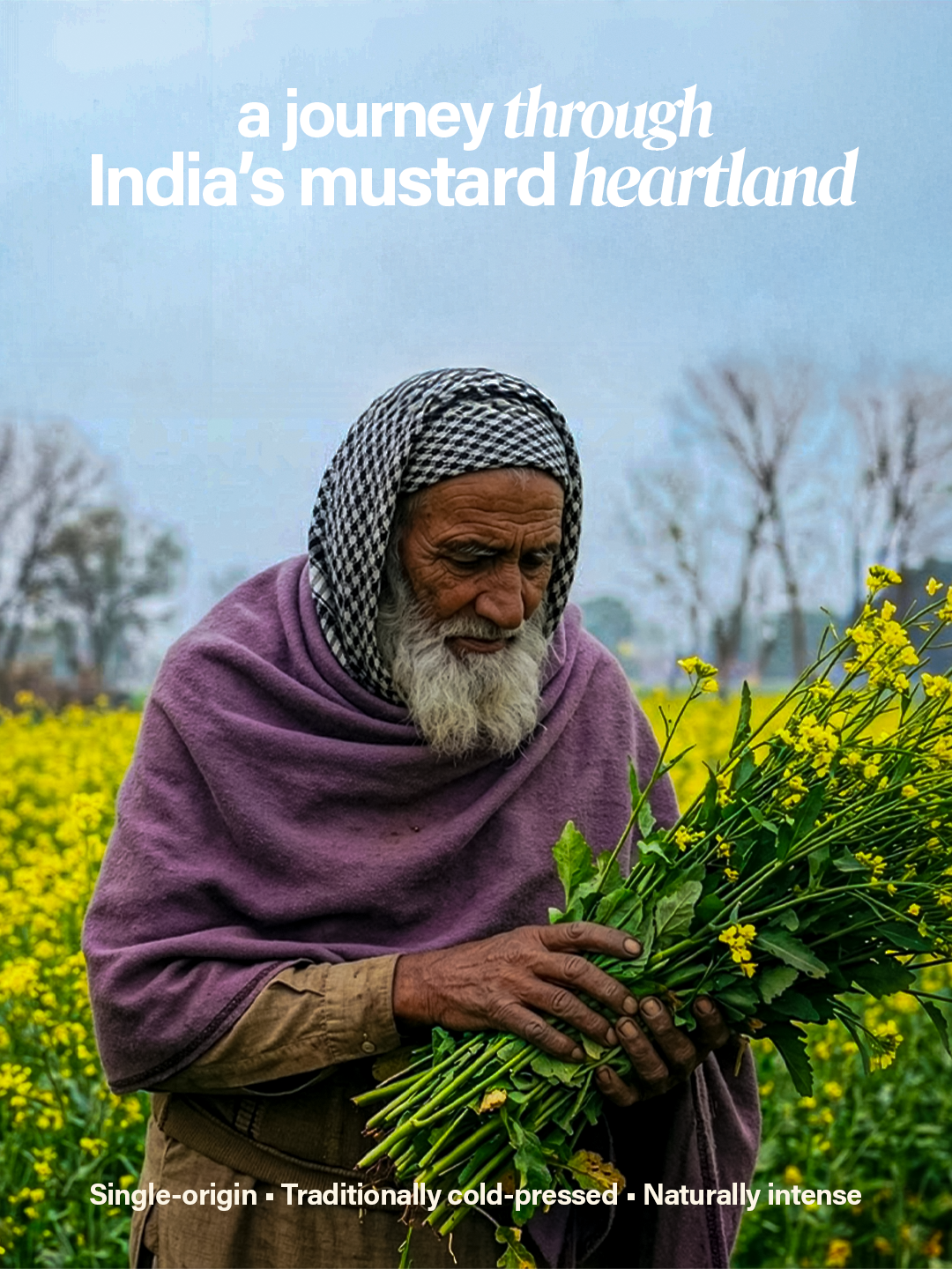 Saréo Mustard Oil – Authentic & Pure