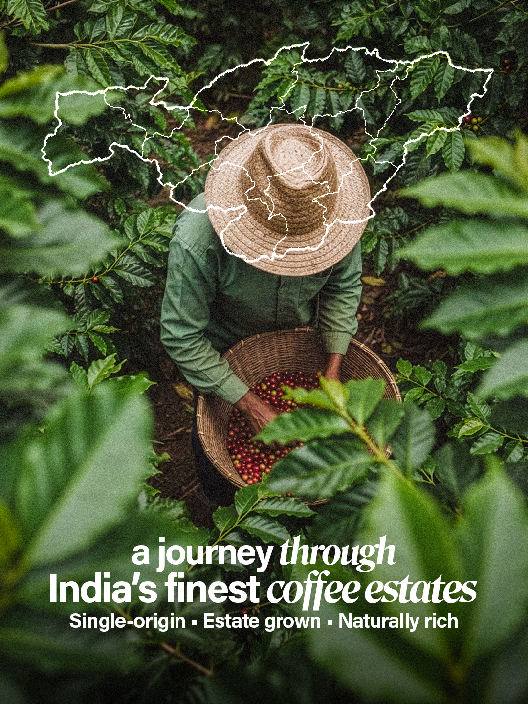 Kaféo Classic – 100% Pure Arabica Coffee