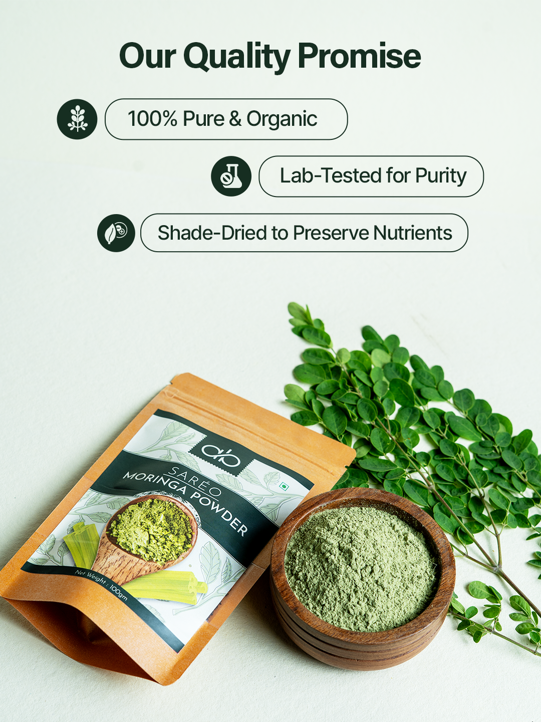 Organic Moringa Powder – Daily Health Boost
