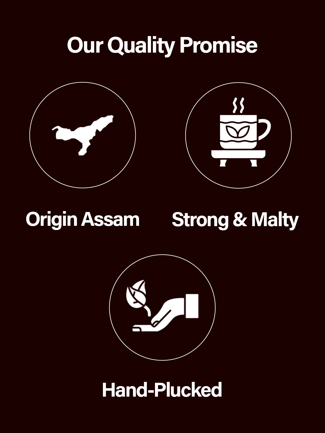 Chaéo Everyday Assam Tea – Family Pack