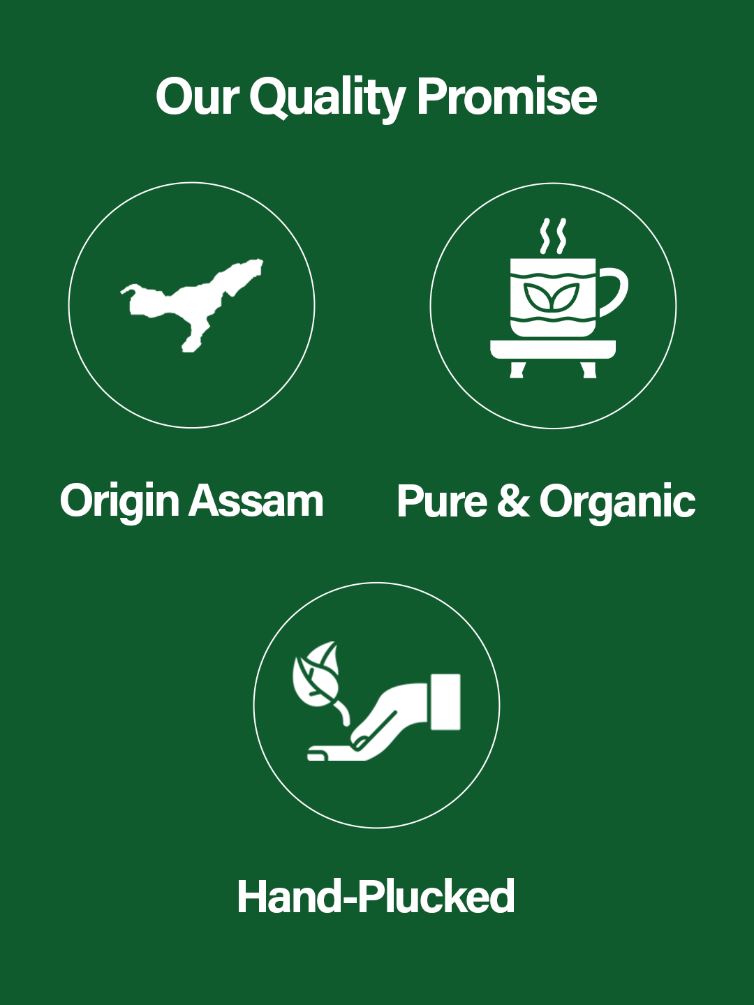 Orthodox Assam Tea – Handcrafted in Karbi Anglong