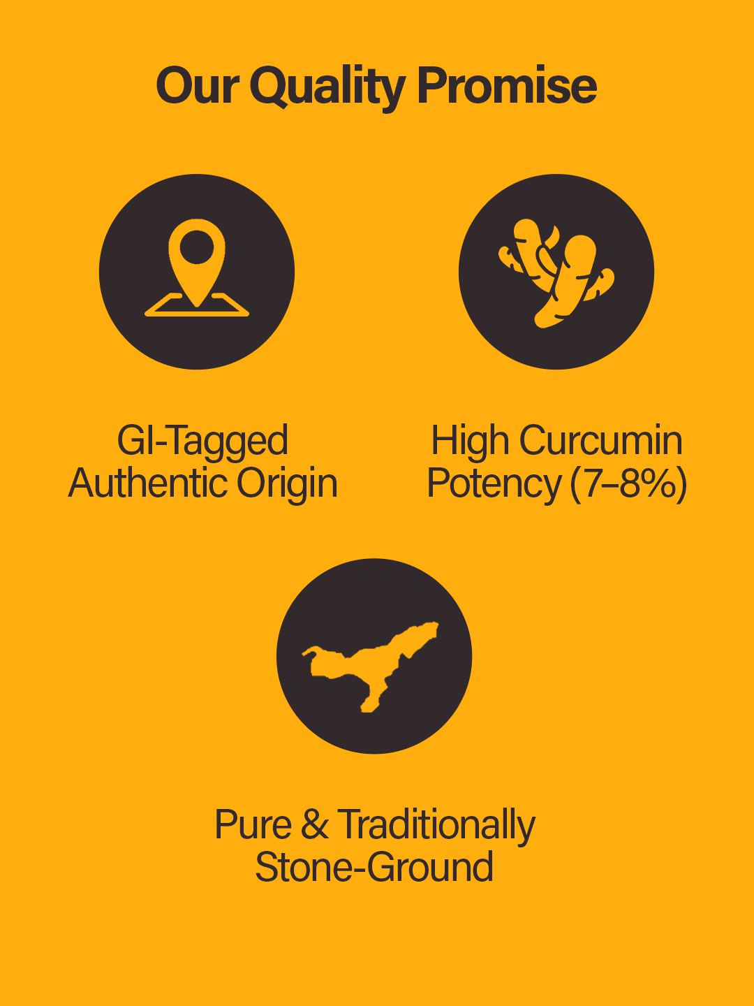 Saréo Turmeric Powder – 100% Natural Karbi Anglong Product